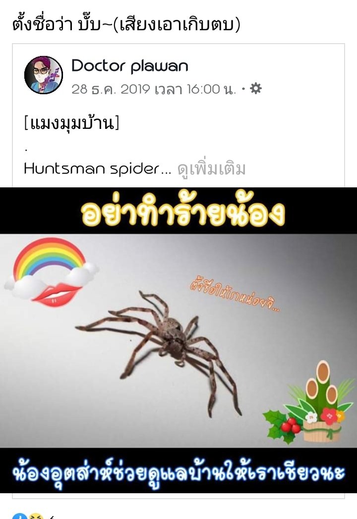 TTAN | tweet media