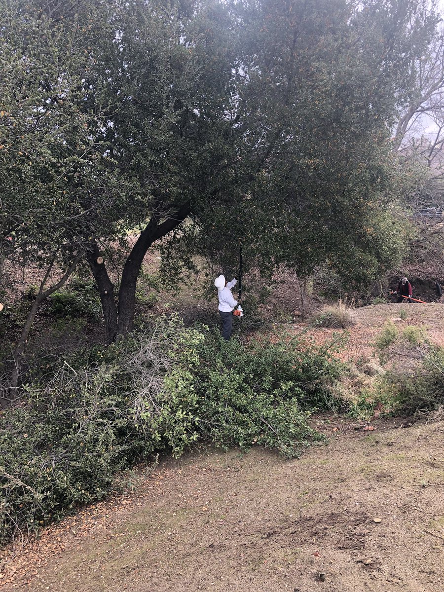 RubyAgronomy's tweet image. Winter projects continue, we have moved to cleaning / clearing out the creek on #13