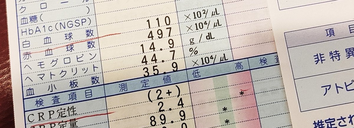 喘息、悪化してるのは気管支炎だった。
つらい。 