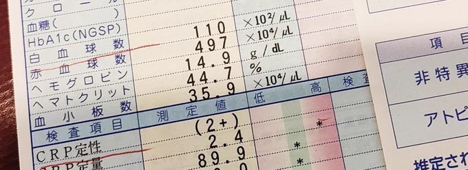 喘息、悪化してるのは気管支炎だった。
つらい。 