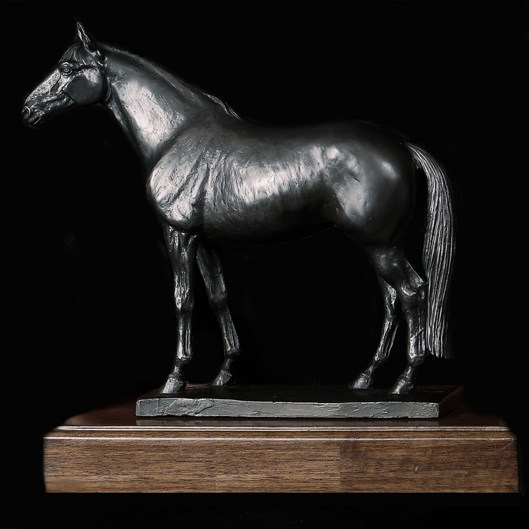 TheStableCanada's tweet photo. 💙 🏆 💙
•
9 more sleeps ... #camfellaaward #obriens19
•
#ownalittleloveitalot
•
📷 @truenaturecommunications
•
#camfella #fractionalownership #luvharness #harnessracing #standardbredracing #standardbredsofinstagram #horse #horsesofinstagram #horseracing #equine #ontag https://t.co/GJbXo21rlq