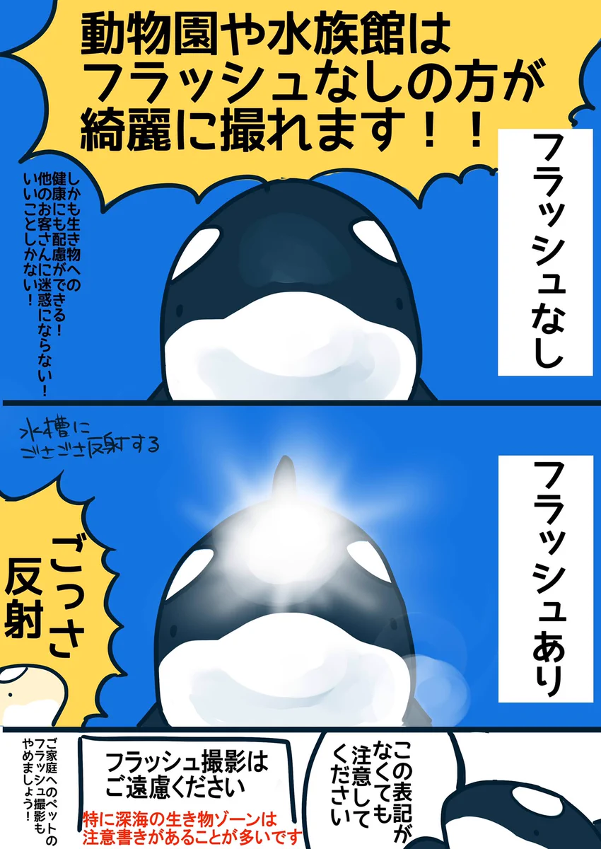 動物園、水族館に行った時の豆知識！意外に知らない人も多いアレ…