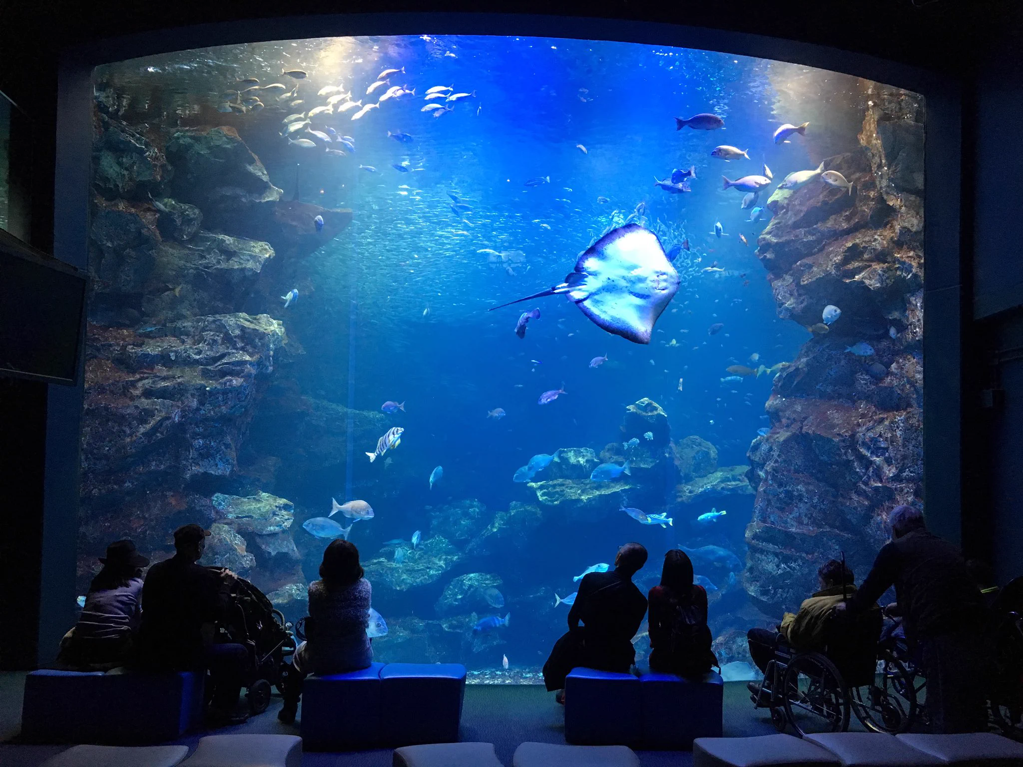 動物園、水族館に行った時の豆知識！意外に知らない人も多いアレ…