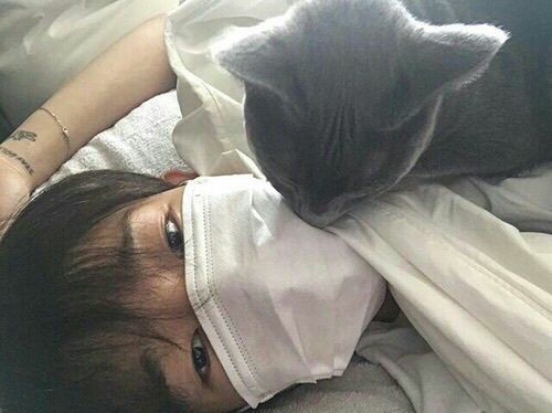 _monster_020220's tweet photo. ป่วยคับอยากได้หมอกับพยาบาลส่วนตัว😷

rt:ff (สุ่ม) 
❤️:dm(เดมมาดูแลผมหน่อยสิคับคุณ) 

#บอทใหม่ #บอทโสด #บอทหาคนคุย #บอทใหม่หาทุกอย่าง #บอทหาผัว #บอทหาเเด๊ดดี้ #บอทหาคนคุมโหด #บอทหาเดมประจำ #บอทหาเเฟน #บอทหาเมีย #เรียลชาย #เรียลหญิง #เรียลมัธยม #ยืมเมจforsrex https://t.co/h2XeZjaifC