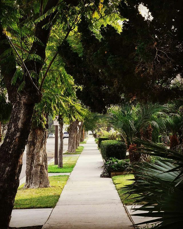 HighTechRealtor's tweet photo. The path ahead... https://t.co/p4kkA6dccZ https://t.co/NbKxnQap8h