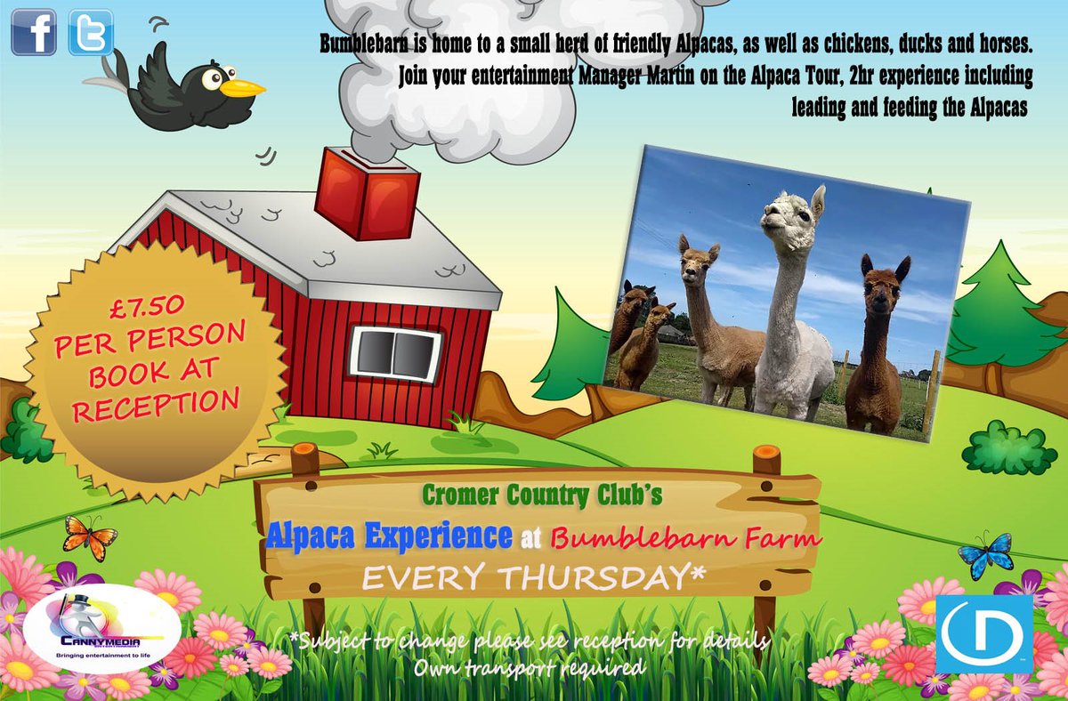 EntsCCC's tweet photo. Coming this February... Our brand new tour from Cromer Country Club, the Alpaca Experience with @bumblebarn. Our guests get to meet, feed and walk these amazing creatures. It is suitable for all ages and is sure to be a hit! @canny_media https://t.co/anHijWBVI3