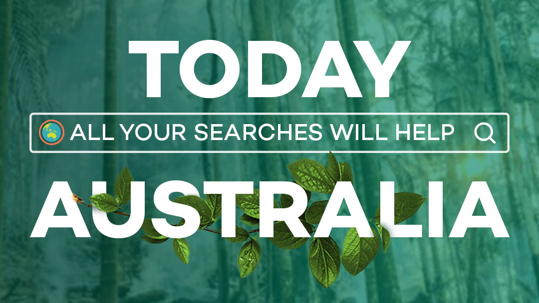 ecosia's tweet image. ⚠️TODAY⚠️

Search on Ecosia to plant trees in Australia! We’re using all profits to restore subtropical rainforests to New South Wales, a region badly hit by wildfires.

RT and let’s see how many trees we can plant! #AustraliaFires #ClimateEmergency #ECOSIA4AUS