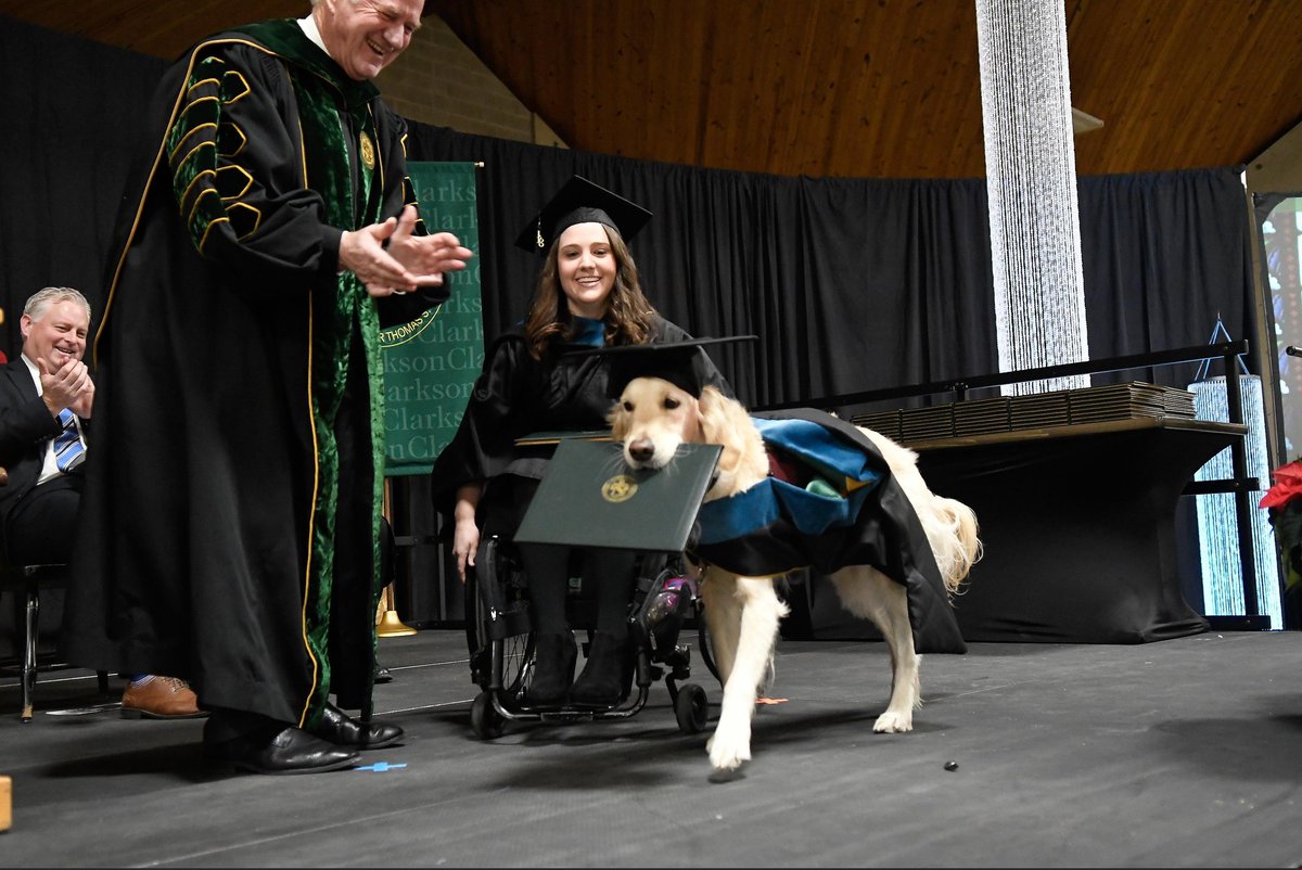 yetkisizherif's tweet photo. Clarkson Üniversitesi, yüksek lisans eğitimi boyunca tüm derslere tekerlekli sandalyeye bağımlı sahibiyle birlikte girdiği için terapi köpeği Griffin'e fahri diploma vermiş :) https://t.co/wtgR1eHtcI