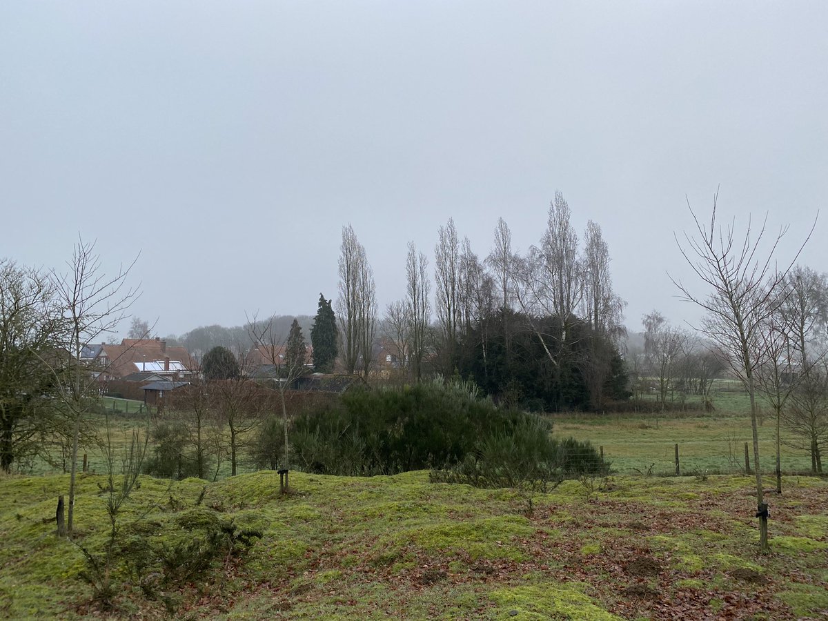 26th May 2200hrs, A fighting patrol lead by Lt. Cholmomdeley is sent out to observe German artillery from Hill 62. They return with a POW, German NCO. The information gained allows the 5th Div to deploy accurate counter barrages. (View from 60 towards 62)