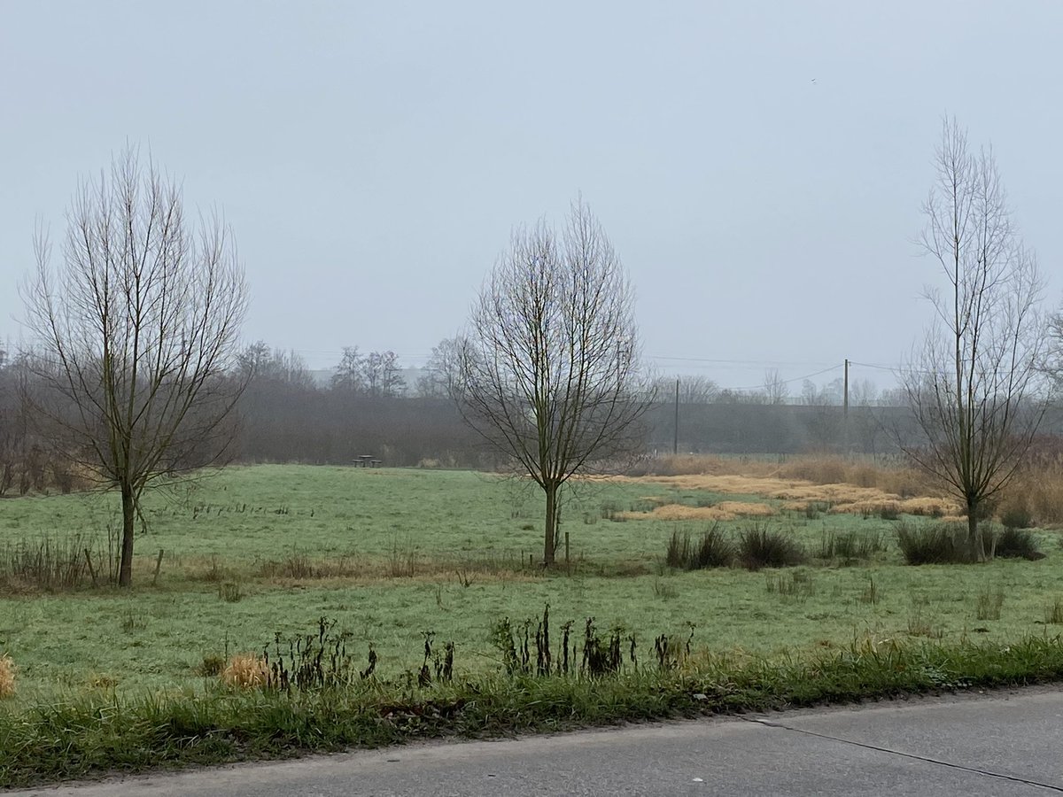 26th May 2200hrs, the 2 Inniskilling fall back from the railway line towards the Canal (railway in the distance)