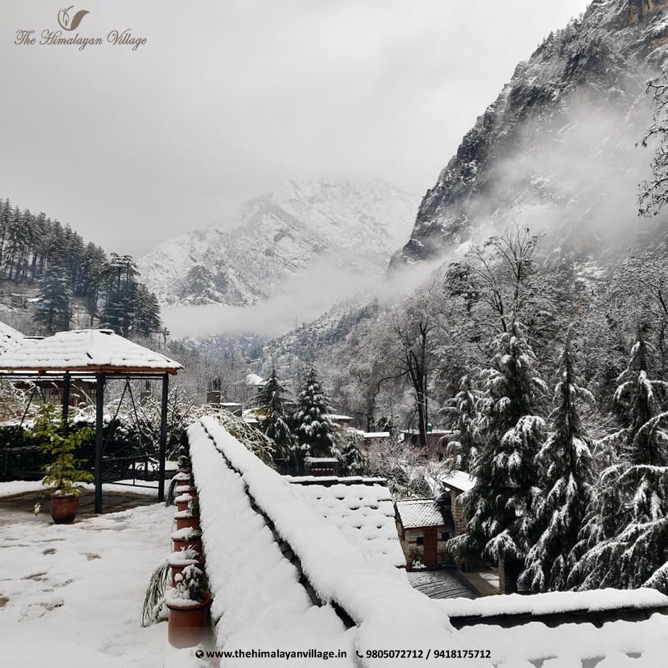 kailashathv's tweet photo. Celebrate these winters in snow clad Himalayan mountains relishing the aura, with fun filled activities to experience. Visit The Himalayan Village!
Visit us: https://t.co/dU5r5YyVni
Call us: +91-9805072712 / 9418175712
#Himalayan #HimalayanVillage #HimalayanResort #Winter #Snow https://t.co/N5RIAqEbfj