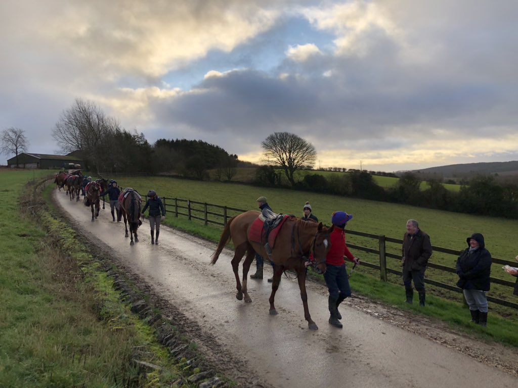 Jarvey’s Plate (with David O’Brien here) entered <a href="/CheltenhamRaces/">CheltenhamRacecourse</a> this weekend #TeamFOB