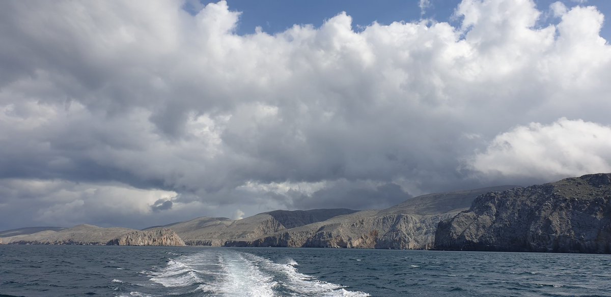 alshahi8's tweet image. أغرس في قلوب الناس بذور المحبة 
       واسقها بحسن التعامل 
          فالحياة لن تدوم  
  ولا يبقى  إلا جميل ما زرعت