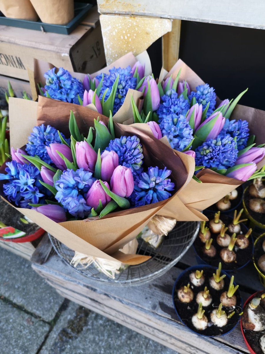MoutanFlowers's tweet photo. Feels as if January has gone on forever! Time to get some colour into your life & the promise of spring - bright & vibrant, fragrant & fresh, cut flower posies.
Available in all our stores, subject to availability!
β€οΈππ§‘πππ
#springposies #colourful https://t.co/IKyPPVJkc5