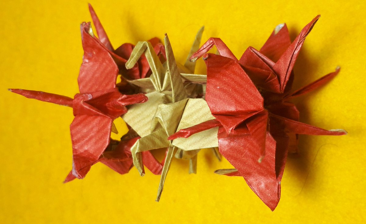 ট ইট র 連鶴伝道師 童夢 21年5月で2370種 次は2 500種 2 0種類まで あと63種類 Today S New Renzuru 12z5t 1957 羽を合わせて繋がる4羽2組の腹下に4羽の羽先が繋がる Origami Renzuru Orizuru Cranes Origamicrane Origamifoldng Origamiart