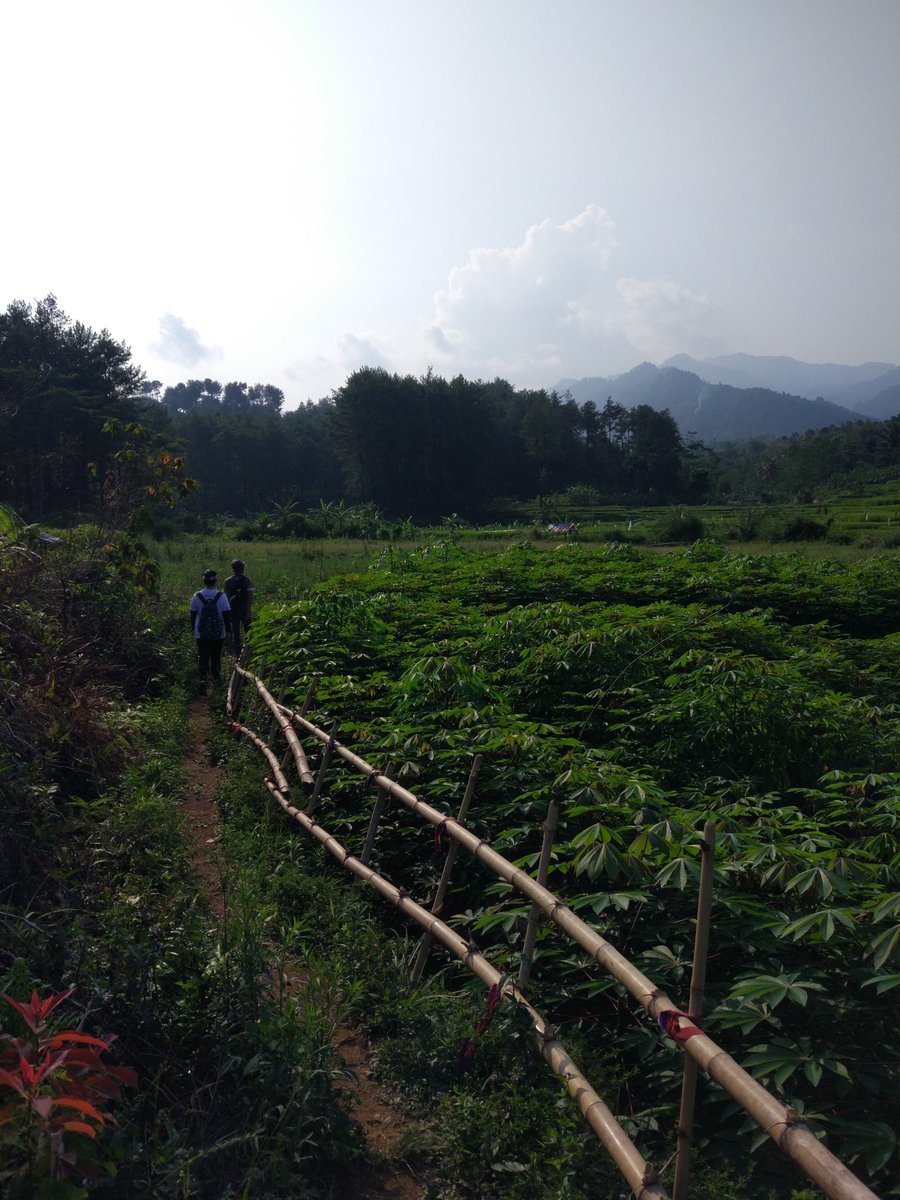 debychristi's tweet photo. Yang suka olahraga sambil nikmatin alam bisa banget! Ada di dekat Jakarta π
Thread.
----
"Kok bau ikan asin digoreng ya?"
"Iya gw baru mau bilang"
"Itu bau kotoran luwak mba"
"Oh yaa?"
#trekking #bogor #dcwrt https://t.co/XelJoHiwl5