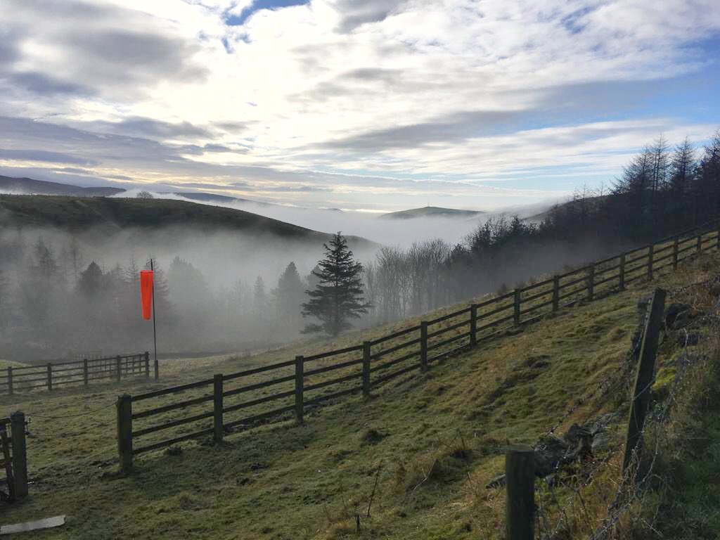 Beautiful foggy scenes from our cottage 😍