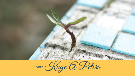 MindsetPod's tweet photo. On the Mindset Podcast - The Privilege Of Living In The Now – an interview with Kaye Peters https://t.co/x7y4ocCzqX https://t.co/NKBOQtdYIV #nolimits #podcast #Mindset https://t.co/0Zw6AA0Ijt
