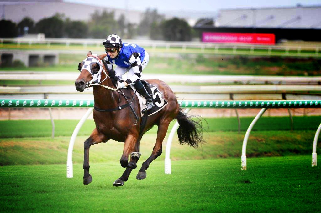 ausbloodstock2's tweet photo. 🏇💨 | SNOWZONE (Snitzel x Snowdrift) all by himself as he bursts away at Doomben today for a strong win!

@Cressfieldstud @ArrowfieldStud @mmsnippets @Leesracing @mallyon_andrew

📸 | Trackside Photography https://t.co/OWznC0izcY