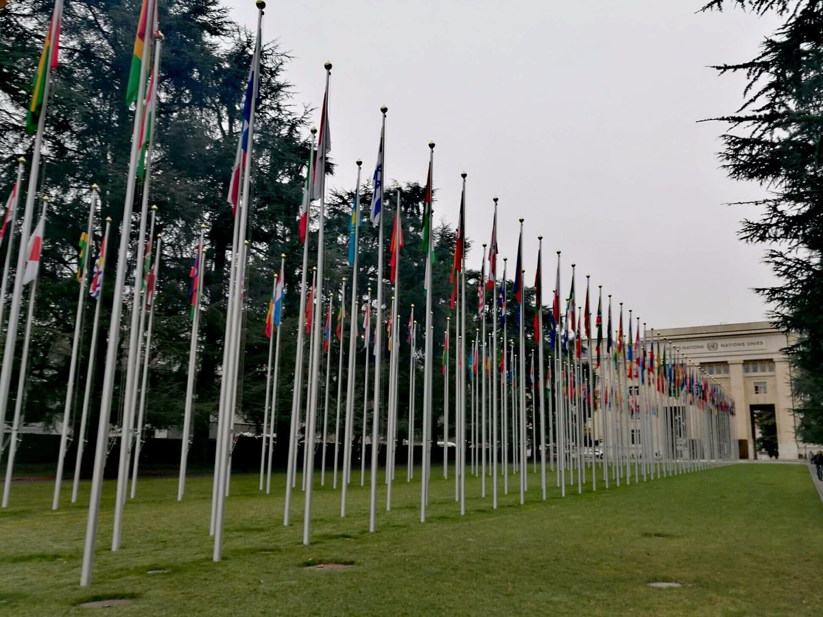 The #UPR of #Kenya has just started. The delegation is headed by Ababu Namwamba, Chief Administrative Secretary and Deputy Minister, who is presenting the national report and the progress made in the field of #humanrights since last review.