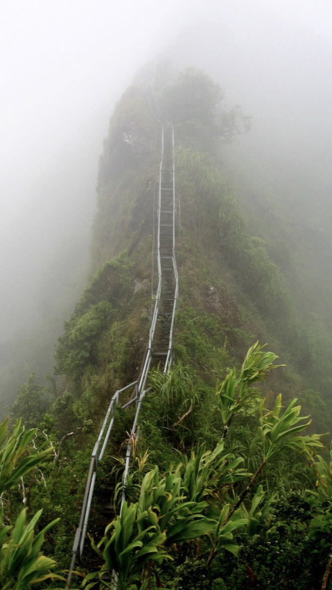YefriRamos8's tweet photo. Hawaii stairway haven https://t.co/QYD9fSVCBi