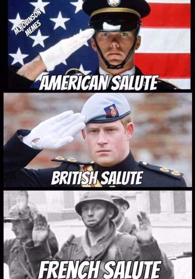  #MilitaryHumourFrench Salute, practiced and perfected over centuries!