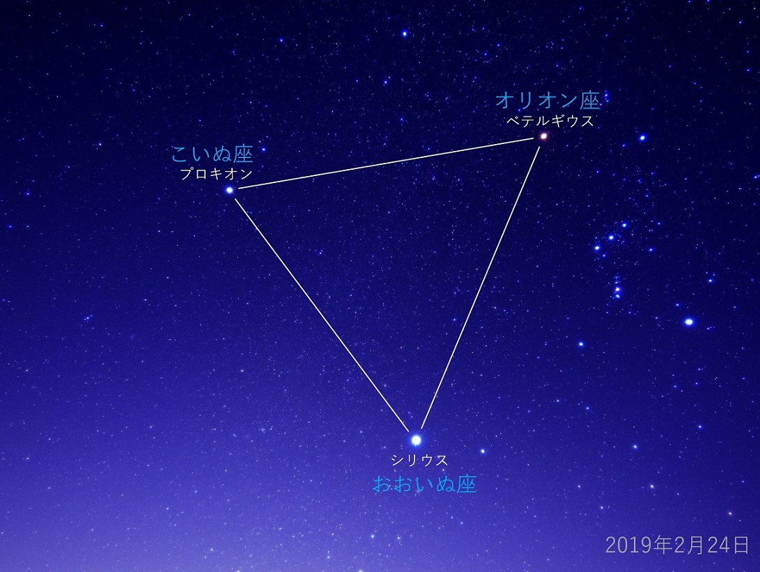 群馬県立ぐんま天文台 こいぬ座 小さな星座ですが 冬の大三角 を形成する一等星 プロキオン を目印にして 簡単に見つけることができます ただし 星の並びから 犬 の姿 を想像するのは難しいでしょう ギリシャ神話では オリオン が連れ