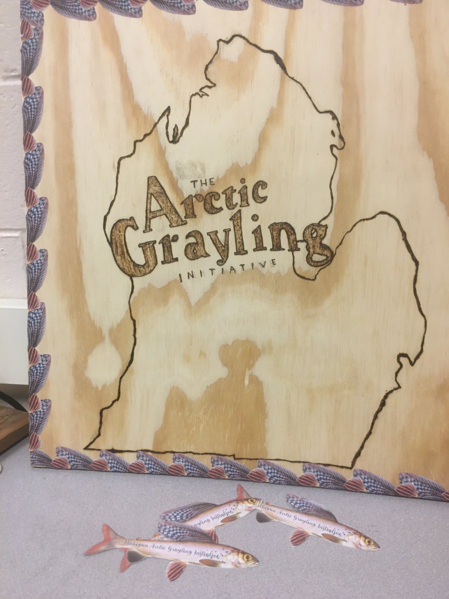 arctic_grayling's tweet photo. From Traverse City to Cadillac to Troy, the Michigan Arctic Grayling Initiative Documentary has come a long way. 
Beginning with a fishing magazine at our local hardware store, we are now looking to make some final cuts to the film, and are so excited to share it with you! https://t.co/6WSTgUq8uq