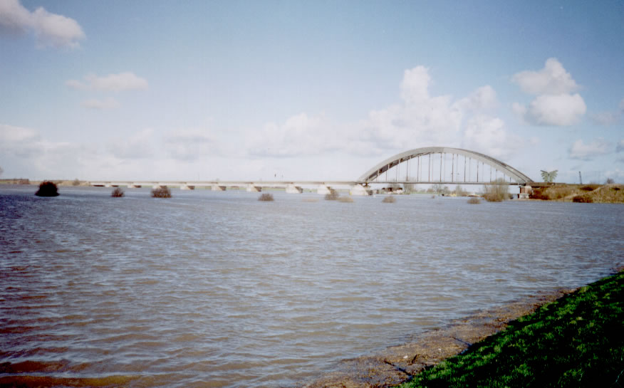 31 januari 1995. Ik was 30 en 'bewaakte' Culemborg met mijn collega's. Er was vrijwel niemand meer. Een uitgestorven stad. Het had impact. Op ons als politie. Ook wij hadden gezinnen die 'weg' moesten. De angst voor het wassende water. Het liep met een sisser af. God zij dank!