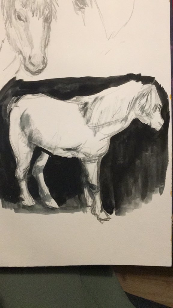 Never forget the horse-girl dream