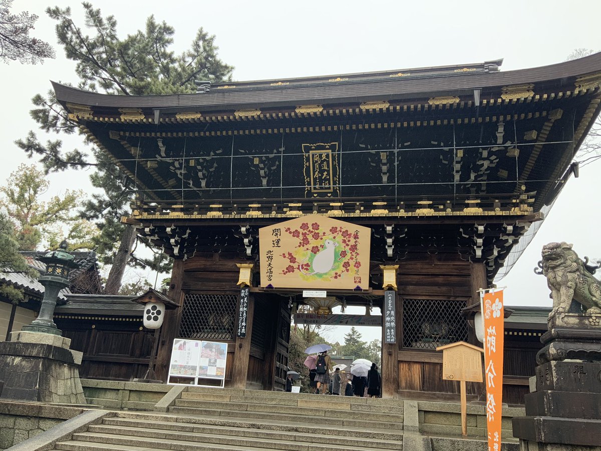 雨降りの京都の神社仏閣　庭園はまた違う風情があり良きかな