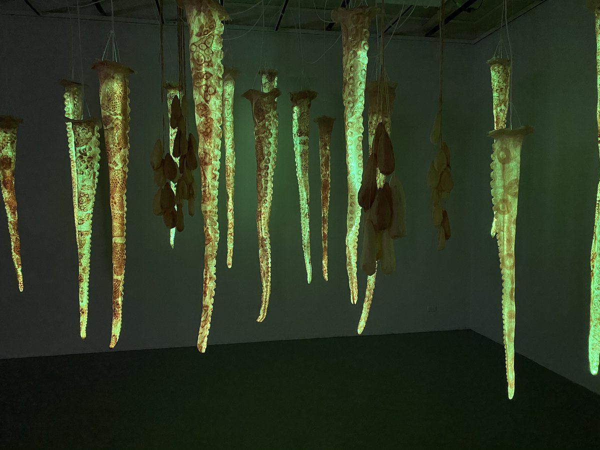 Head to <a href="/UTAS_/">University of Tasmania</a> Plimsoll Gallery to catch #OktoLab19 - an exhibition and lab that looks at new ways of understanding octopuses!🐙 Exhibition closes this week (Sat 25 Jan)! utas.edu.au/creative-arts/…