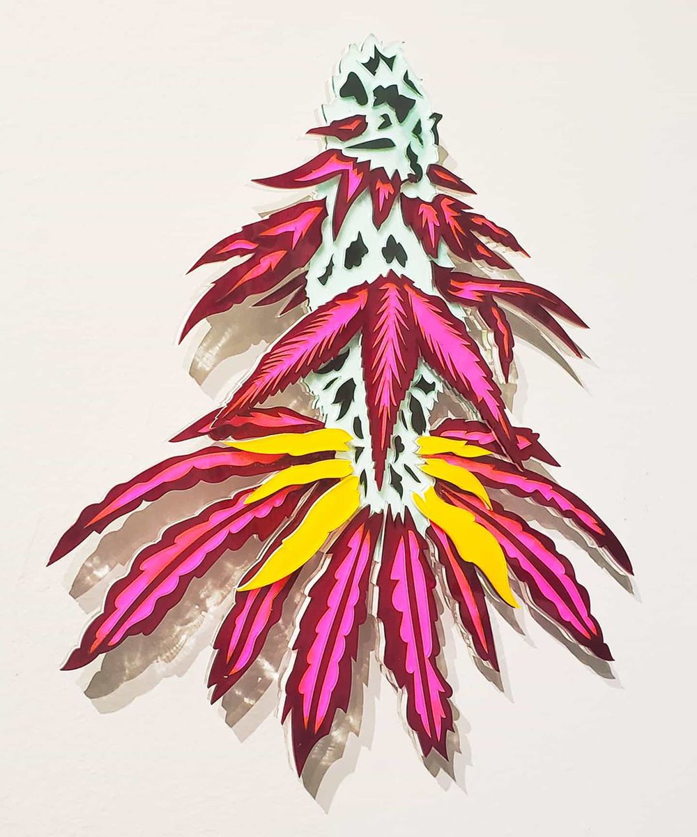 ext54's tweet image. #Cannabis is legal in 11 states for adults over the age of 21 and legal for medical use in 33 states. For a majority of cannabis companies, running a cash business is their only option. A cash problem solution is on its way. #staytuned  

📸 @Ava_Grey. Artwork by IGer @no_vwlz.