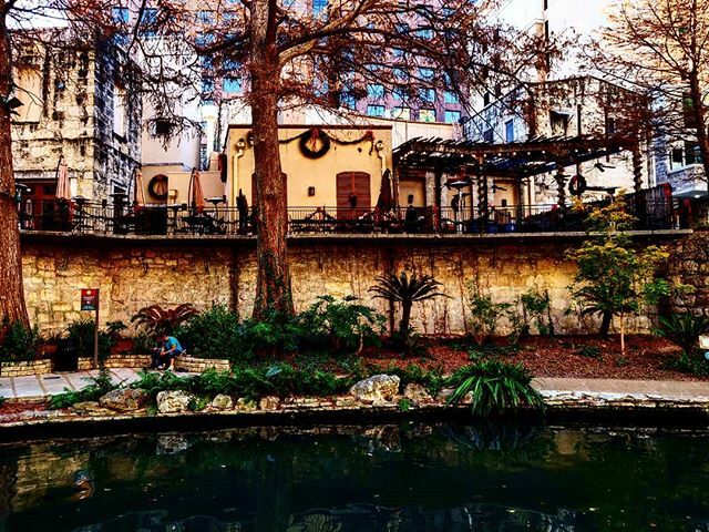suiapp's tweet photo. Little water, little rust. 
_

The tree with no apple.

_

Complicated enough to seem simple

_

It's about the view next door. https://t.co/3wmTUJEugK https://t.co/fjBzy1RBr3