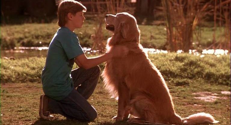 38. Homeward Bound (1993)