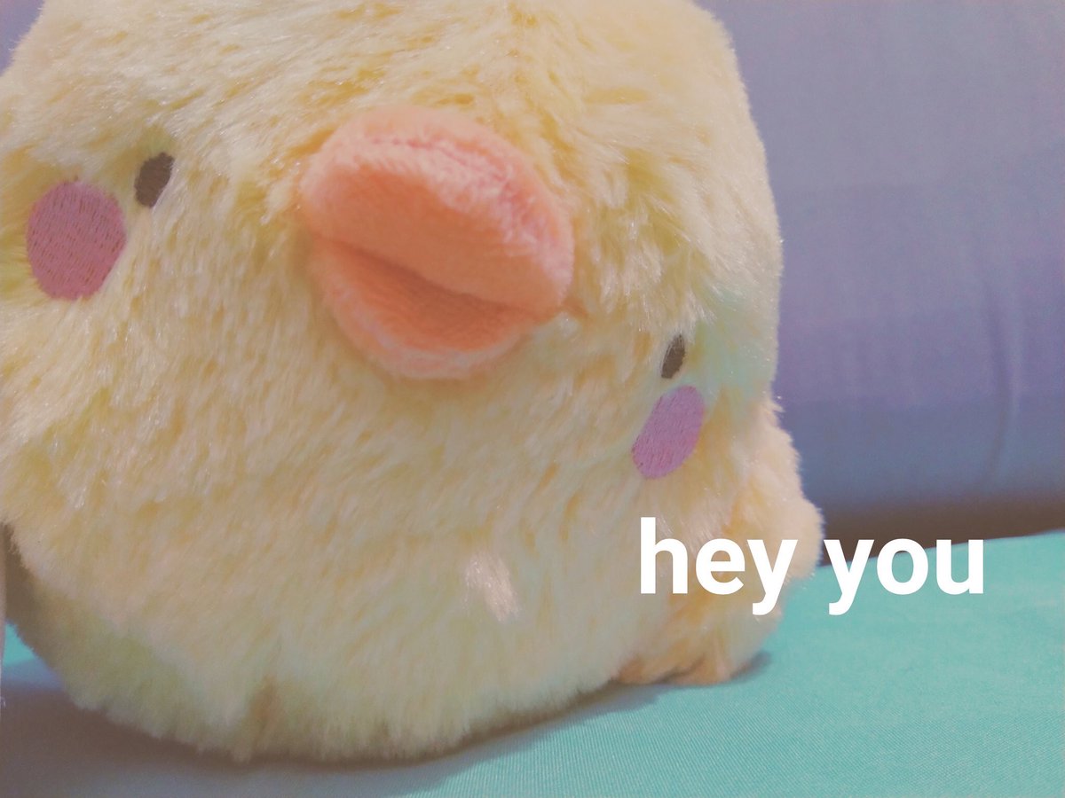 𓈒 closed ᱸ 🐰 𓈒 tweet media