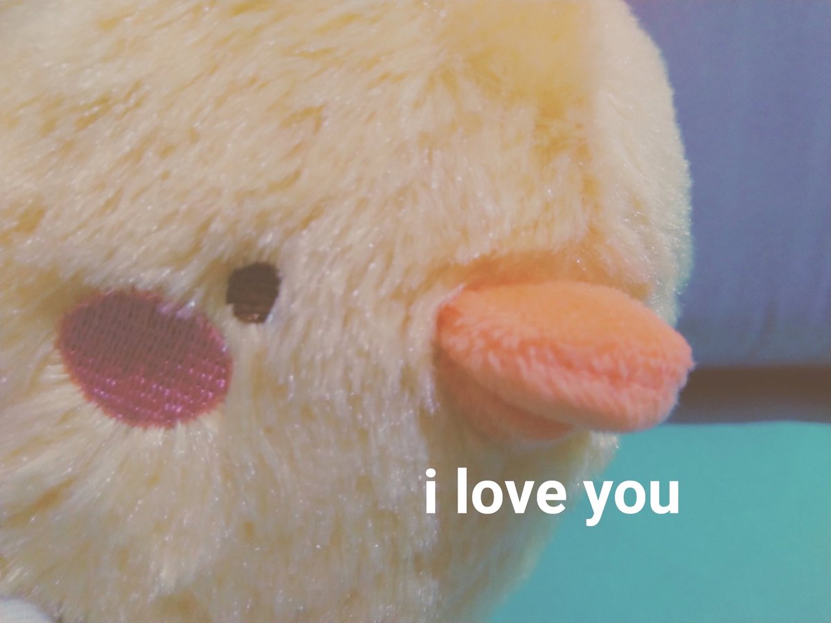 𓈒 closed ᱸ 🐰 𓈒 tweet media