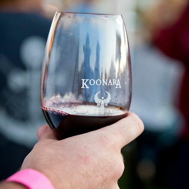 See you at the Mt Gambier Street Food Festival this weekend! Koonara Wine will be available for purchase by the glass or bottle this Saturday at @naturalborngrillers.mtg along with delicious food, entertainment, gin + more. #koonarawines #mountgambier ift.tt/2usZu6M