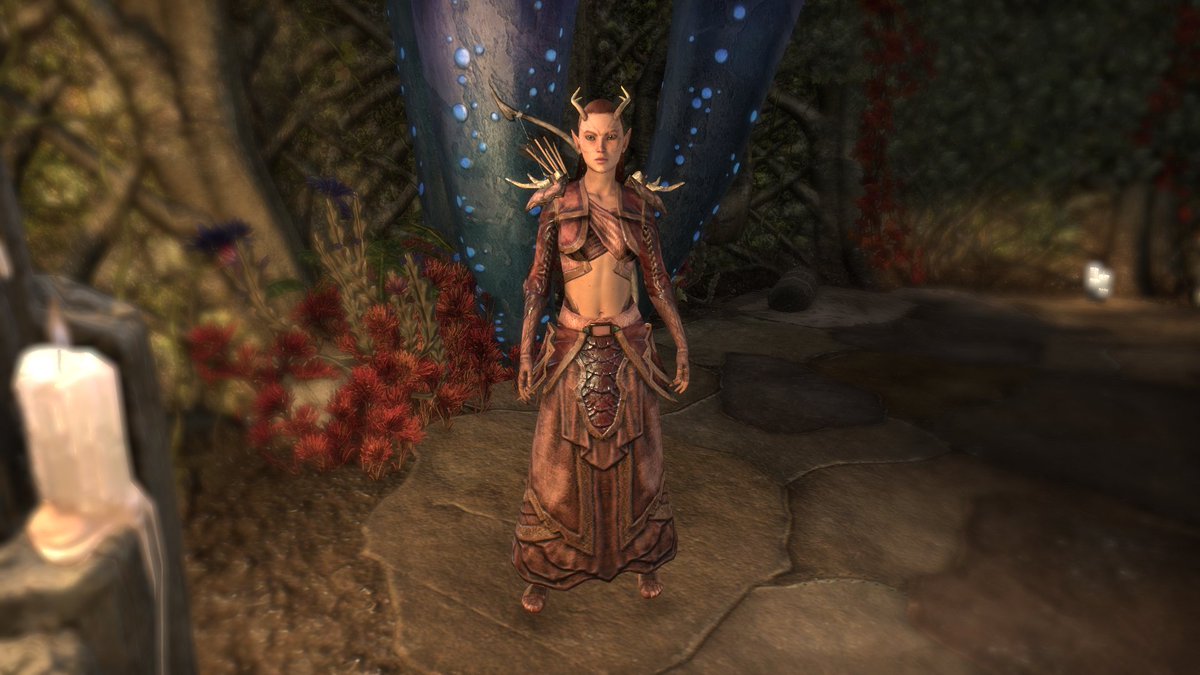 This is Aerin, and I love her 🥺

#ShowMeYourESOCharacters