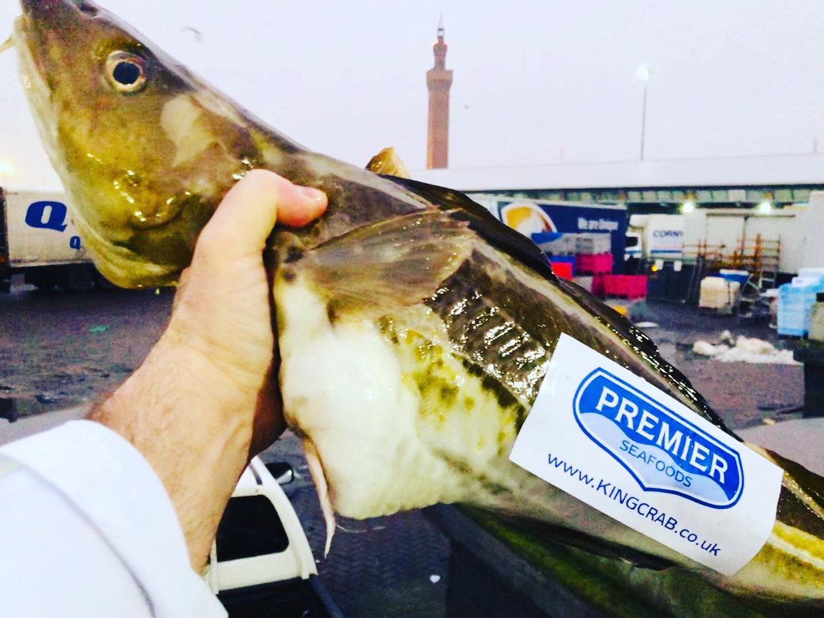 Premierseafoods's tweet photo. When your fish still has rigor mortis then you know your buying game is on-point... #grimsbyfish #grimsbyfishmarket #grimsbyfishdocks 🎣 https://t.co/8zO0Cekgj4