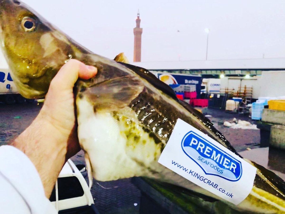 Premierseafoods's tweet photo. When your fish still has rigor mortis then you know your buying game is on-point... #grimsbyfish #grimsbyfishmarket #grimsbyfishdocks 🎣 https://t.co/8zO0Cekgj4