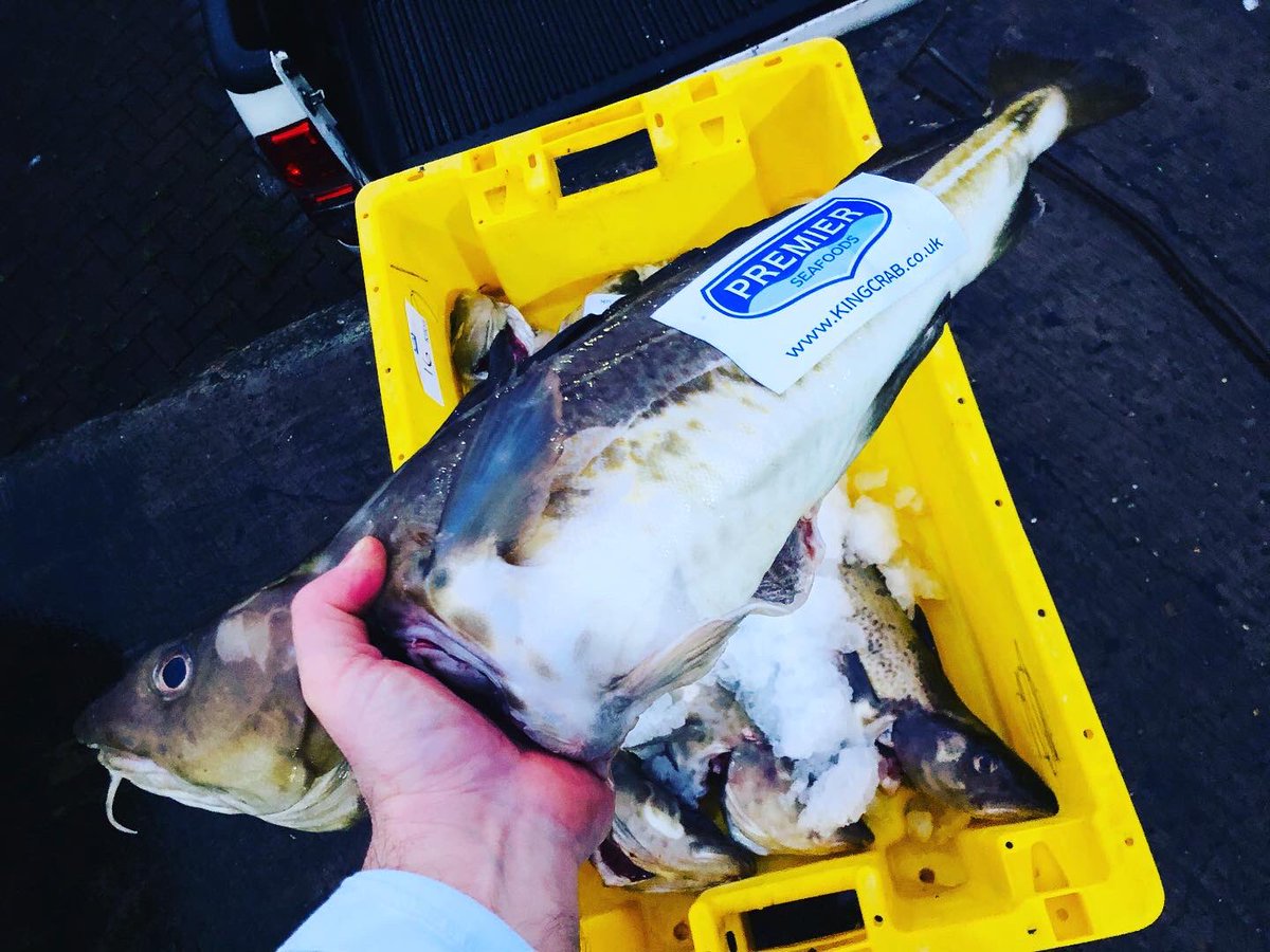 Premierseafoods's tweet photo. When your fish still has rigor mortis then you know your buying game is on-point... #grimsbyfish #grimsbyfishmarket #grimsbyfishdocks 🎣 https://t.co/8zO0Cekgj4
