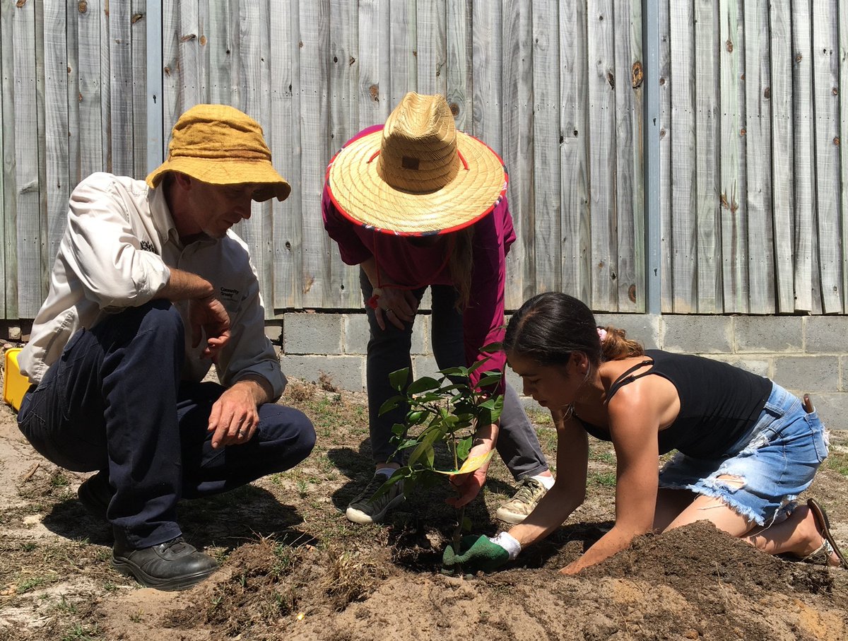 Fantastic work Malabar St #SouthCoogee residents starting your #communitygarden yesterday! Thanks @RoyalBotanicGarden #https://bit.ly/2vd4Ovb @facsnsw @CHIA_NSW @CHIA_News @Pettitt_phil