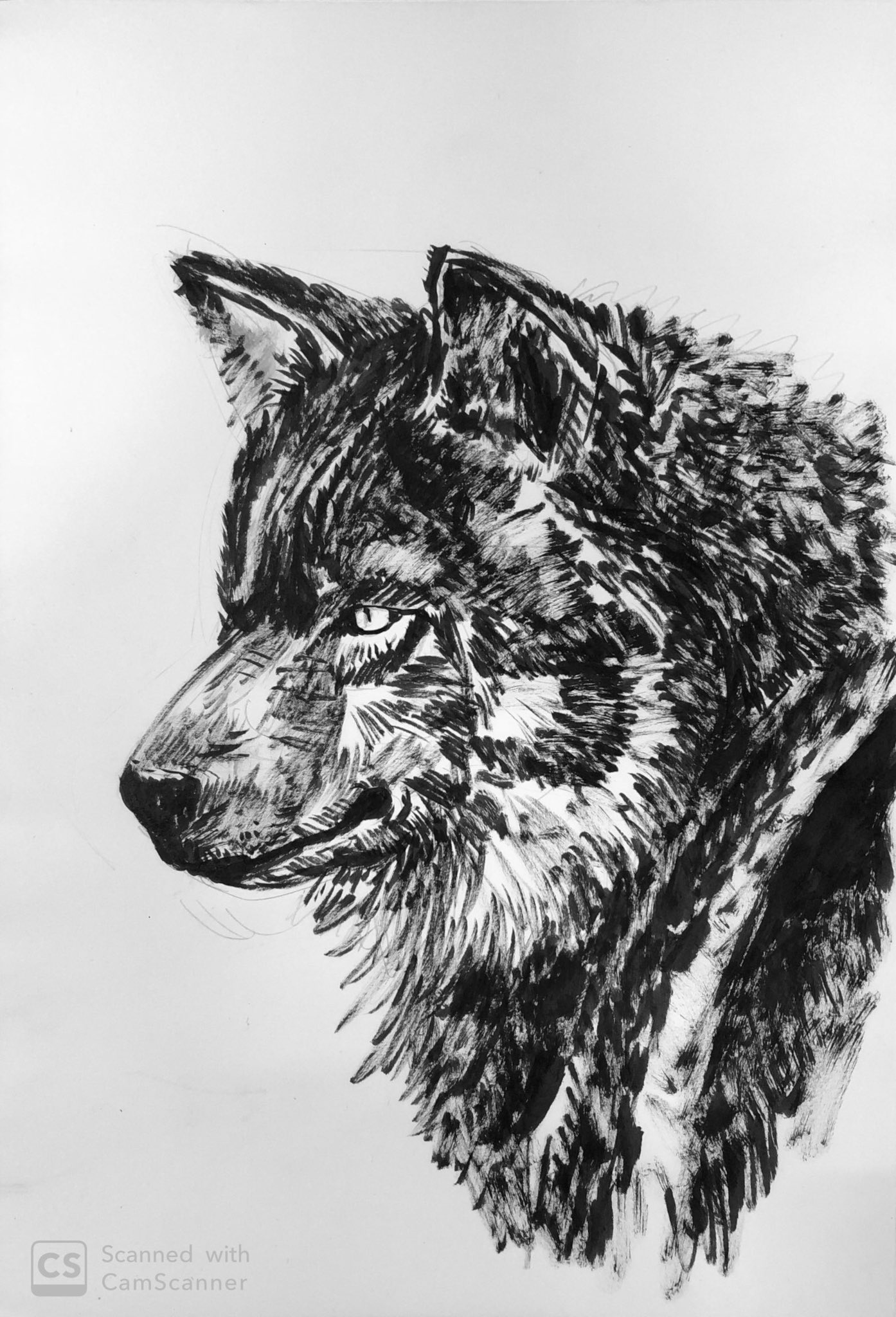 鬼辰カケル アクリル画 狼 墨絵 墨絵アート 鬼辰一日一絵 鬼辰カケル アクリル画 狼 墨絵 墨絵アート 鬼辰一日一絵