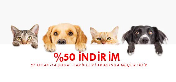 _vetstem_'s tweet photo. 📢Sınırlı süre geçerli olacak %50 indirim fırsatını kaçırmayın. Detaylı bilgi için ☎️: 05422948904 & 02165272752
#Tekgen #VetStem #mezenkimalkökhücre #kökhücre #mezenkimalkökhücreuygulamaları #stemcell #mesenchymalstemcell #allojenik #otolog #hayvansağlığı #veterinary #pets #cats https://t.co/rUR1II8JMW