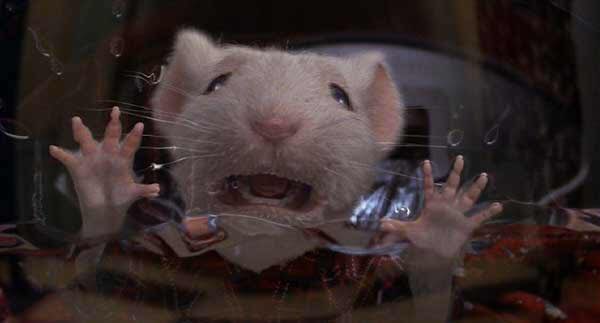 40. Stuart Little (2002)