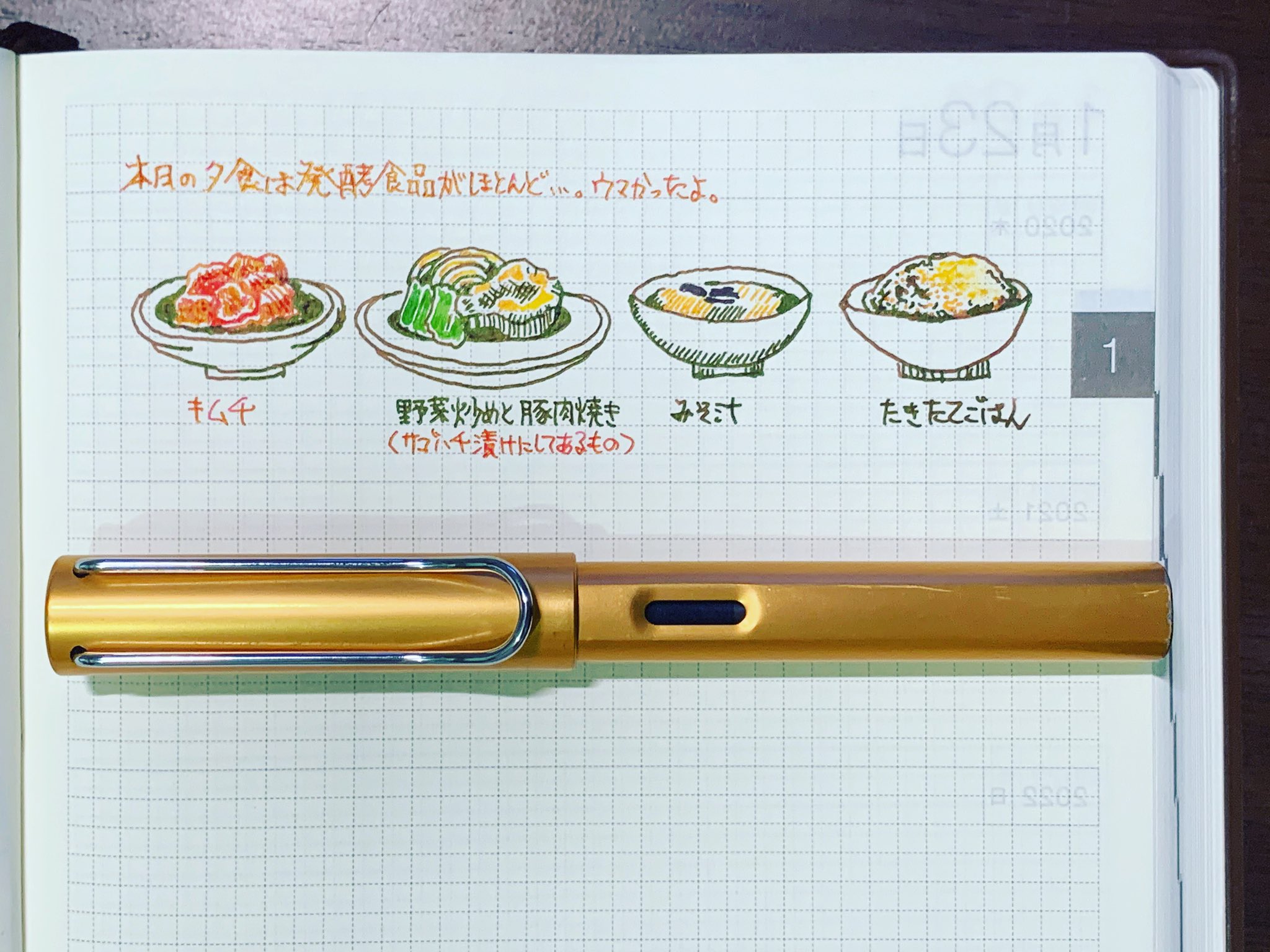 スエヒロ ダン らくがき 万年筆イラスト 万年筆インク 万年筆インクイラスト 絵日記 イラスト日記 Illustration Daily Fountainpen 手描きイラスト 手書き文章 万年筆 セーラー万年筆 Lamy Pilot ペン画 万年筆画 イラストレーター