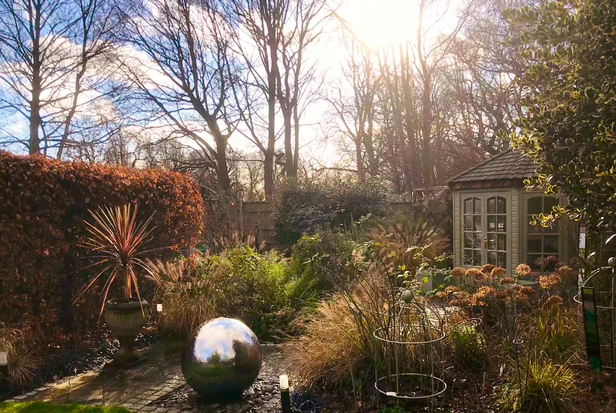 AdaptLandscapes's tweet photo. It’s great to see the gardens we build mature. There is still so much interest for January. #Gardendesign #summerhouse #planting #landscaping #stilllookinggoodinwinter https://t.co/zEPbUWUiGl