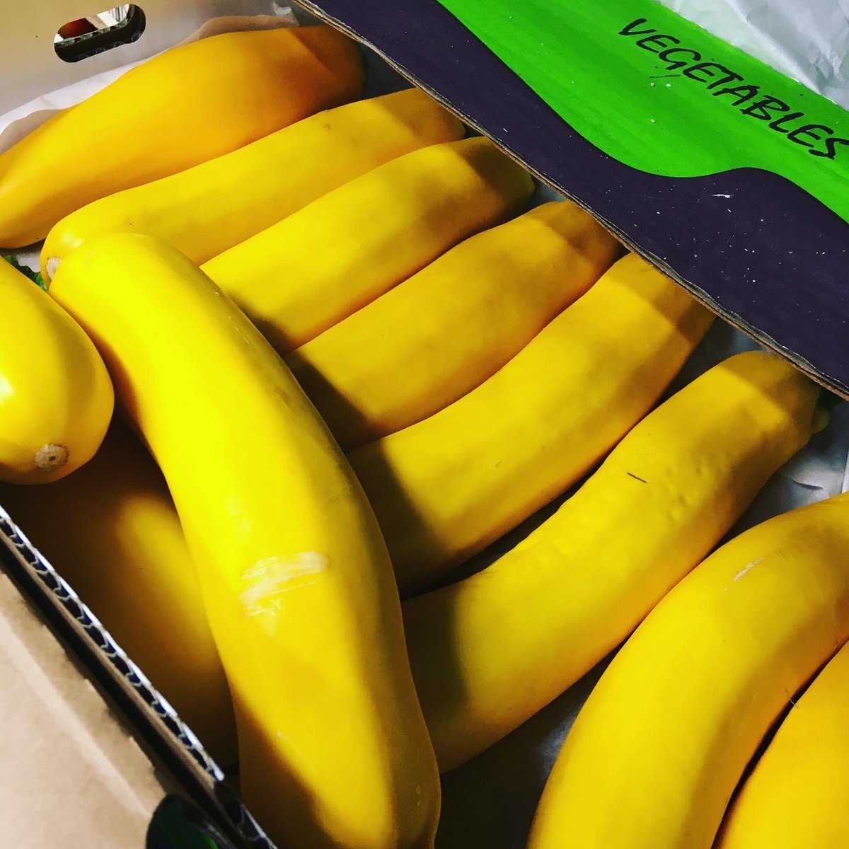 rushtonsgrocer's tweet photo. We do more than your standard courgettes & aubergine ๐
#yellowcourgette #babyaubergine
#fresh #quality #foodservice #ingredient #london #chef #restaurant #hotel #gastropub #caterer #itsallinthedetail #supplyingbrilliancetothekitchen https://t.co/pWuhyopE8R