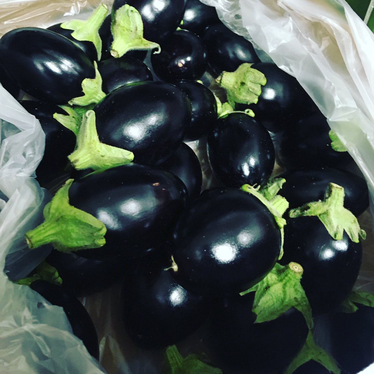 rushtonsgrocer's tweet photo. We do more than your standard courgettes & aubergine ๐
#yellowcourgette #babyaubergine
#fresh #quality #foodservice #ingredient #london #chef #restaurant #hotel #gastropub #caterer #itsallinthedetail #supplyingbrilliancetothekitchen https://t.co/pWuhyopE8R
